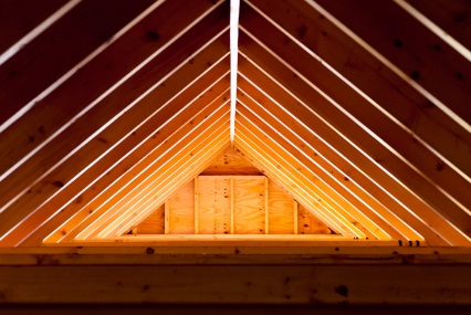 Attic Cleaning