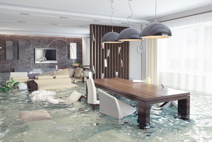 Water Damage Restoration